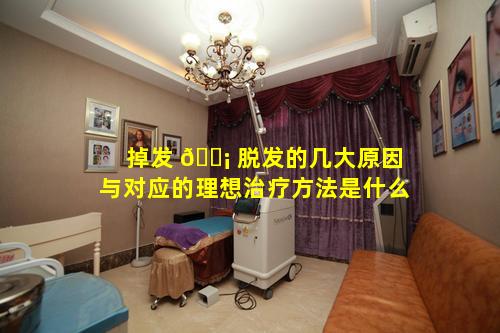掉发 🐡 脱发的几大原因与对应的理想治疗方法是什么